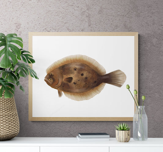 Flatfish Flounder Art Print