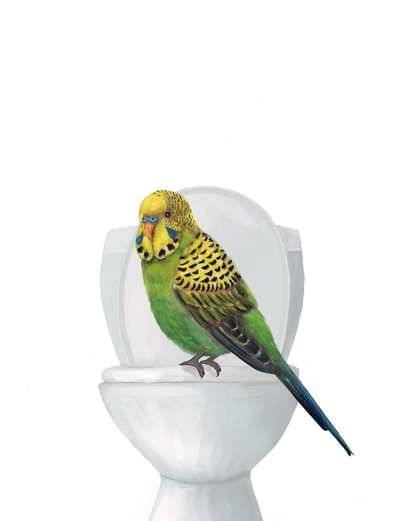 Green Parakeet On Toilet Print