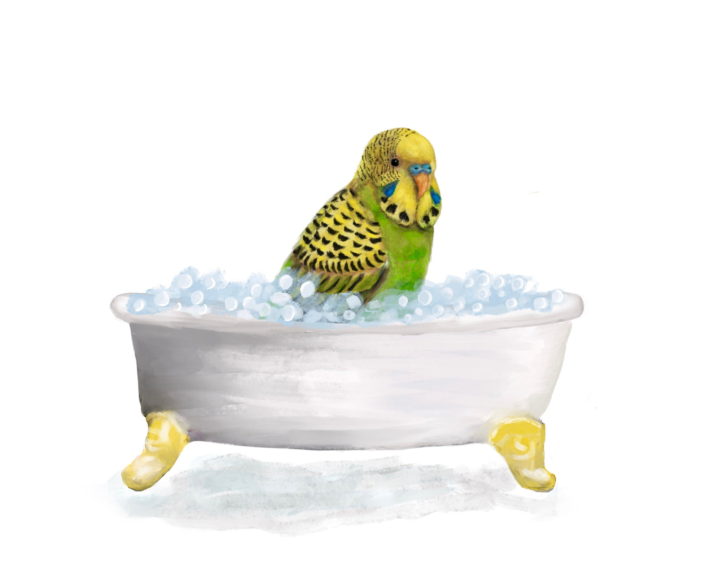 Green Parakeet Bathing Print