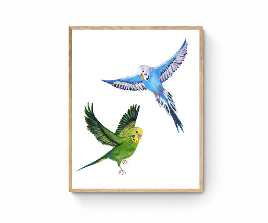 Flying Blue and Green Parakeet, Flying Budgies, Bird Memorial, Tropical Bird Art, Bird Lover Gift, Bird Wall Artwork, Bird Illustration
