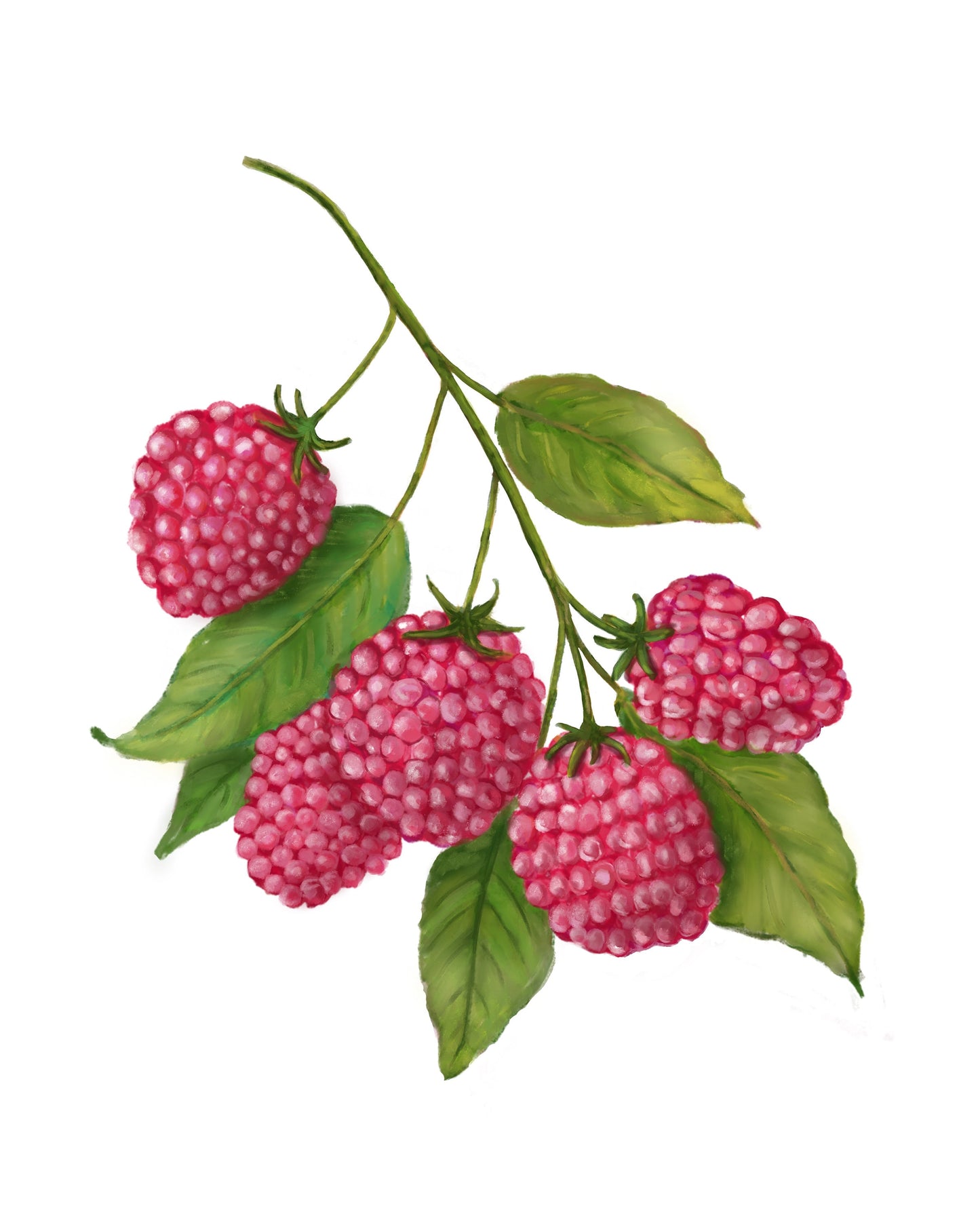 Raspberry Art Print, Raspberry Wall Art, Kitchen Wall Hanging, Dining Room Decor, Berry Painting, Fruit Illustration, Farmhouse Wall Decor