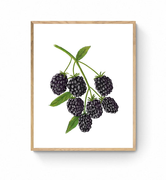 Blackberry Art Print, Blackberry Wall Art, Kitchen Wall Hanging, Dining Room Decor, Berry Painting, Fruit Illustration, Farmhouse Wall Decor