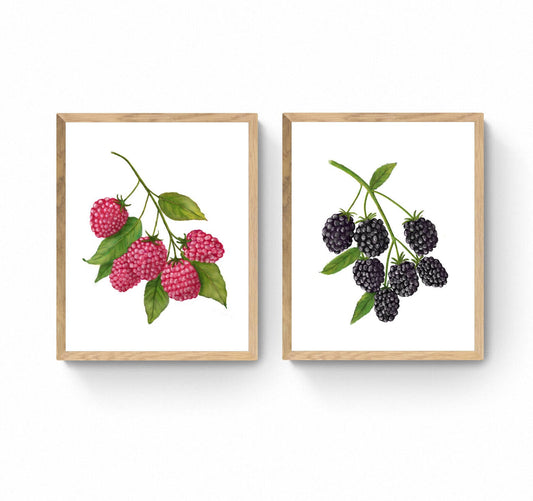 Set of 2 Raspberry Blackberry Art Print, Kitchen Wall Hanging, Dining Room Decor, Berry Painting, Fruit Illustration, Farmhouse Wall Decor