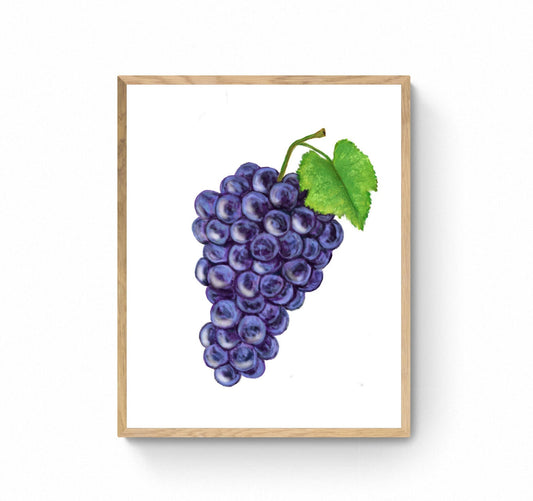 Purple Grape Art Print, Wine Art, Kitchen Wall Hanging, Dining Room Decor, Grape Painting, Fruit Illustration, Farmhouse Wall Decor
