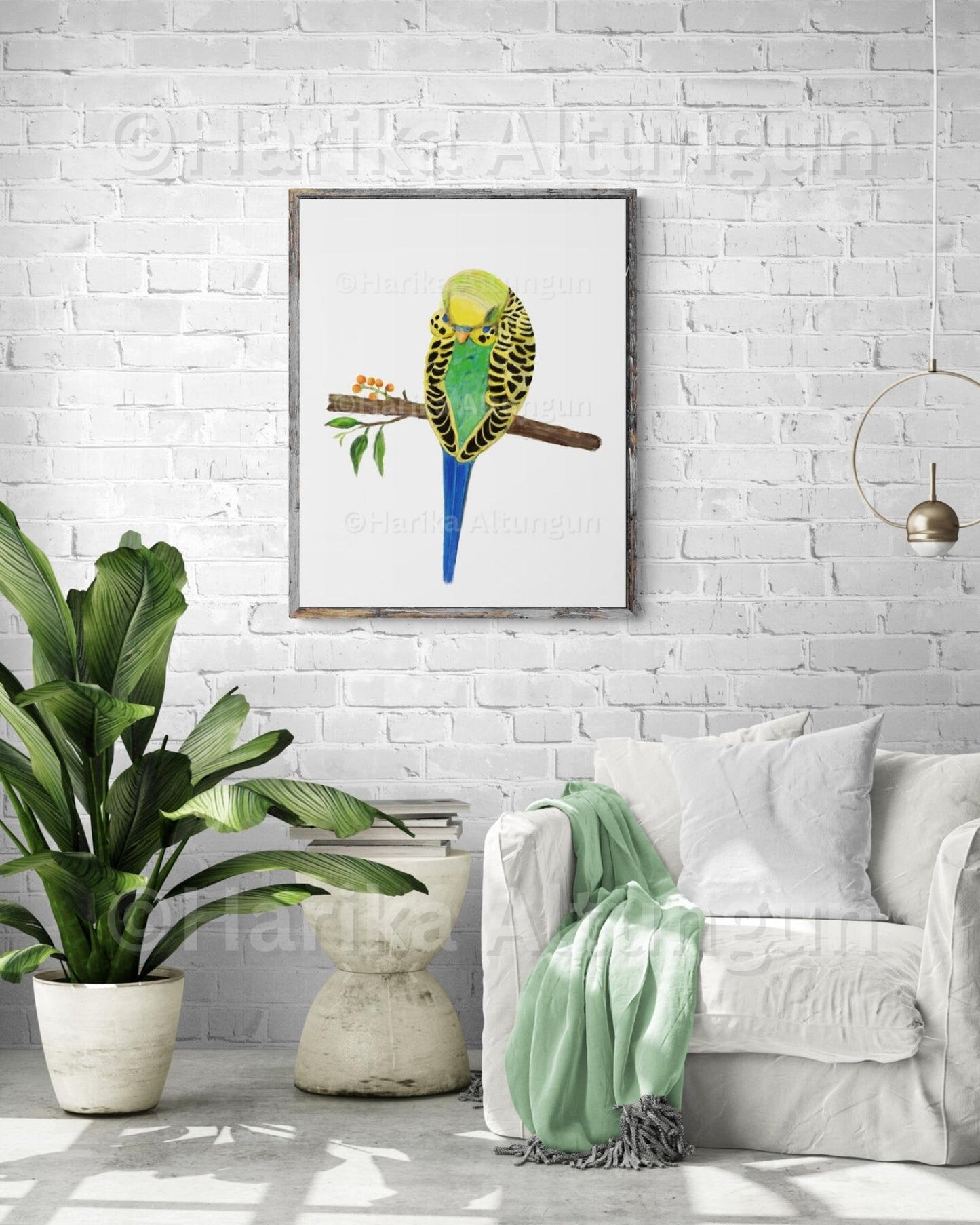 Sleeping Green Parakeet, Green Budgie Resting, Bird Memorial, Tropical Bird Art, Bird Lover Gift, Animal Wall Artwork, Bird Illustration